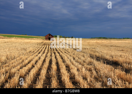 Gathering storm over the prairies near Chestermere, Alberta Stock Photo