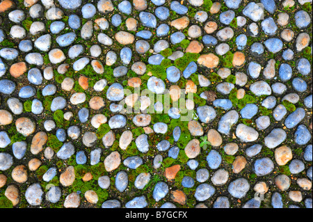 cobble stones with moss Stock Photo