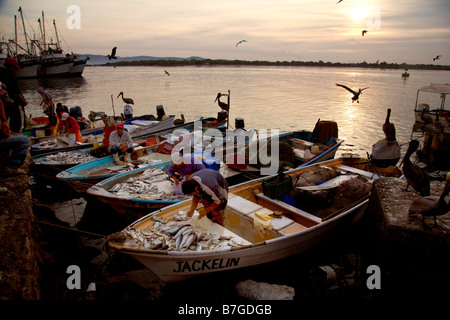 Fish Market Old Town Mazatlan Sinaloa Mexico Stock Photo