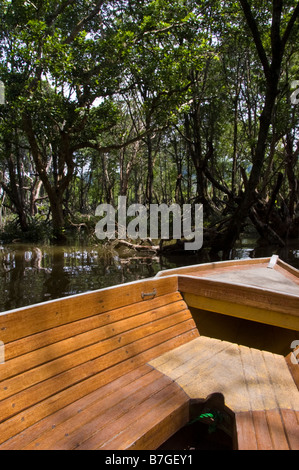 Boat among mangroves on tour of Brunei river and Kampung Ayer water village in Bandar Seri Begawan, Brunei Stock Photo