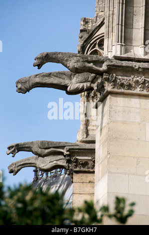 Gargoyles of Notre Dame de Paris. France Stock Photo