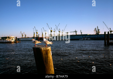 Dec 26, 2008 - View of Blohm & Voss docks from fish market in the German port of Hamburg. Stock Photo