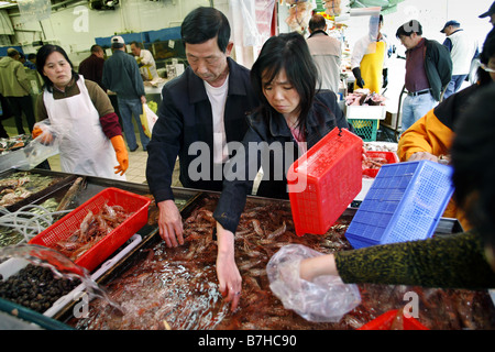 Fish Market, Chinatown, Vancouver, British Columbia, Canada Stock Photo