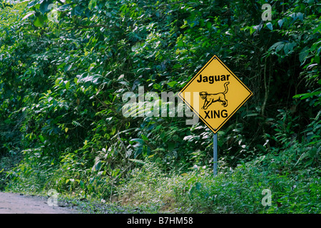 Jaguar Crossing (X-ing) sign along the road  into the Cockscomb Basin Wildlife Sanctuary and Jaguar Reserve in Belize. Stock Photo