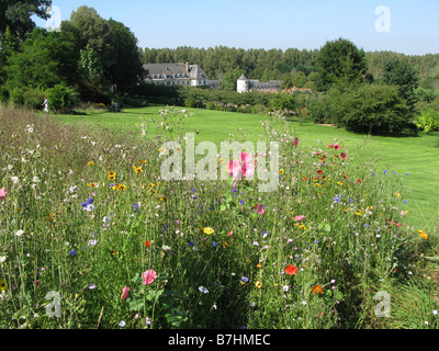 A wildflower meadow in the Jardins de Valloires garden in Picardy, France Stock Photo