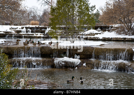 A stream at Franklin Park in the winter Stock Photo