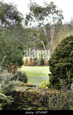 THE PLANTSMANS GARDEN AT RHS ROSEMOOR DEVON IN JANUARY Stock Photo