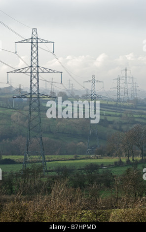 Cross country power lines from Kilroot Power Station County Antrim. Stock Photo