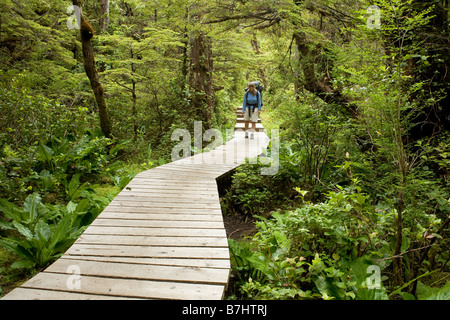 BRITISH COLUMBIA - Boardwalk trail section of the North Coast Trail in Cape Scott Provincial Park . Stock Photo