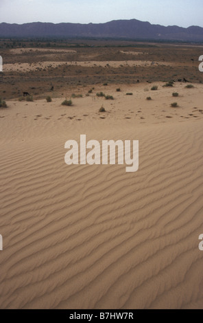 sand dunes Pushkar Rajasthan India Stock Photo