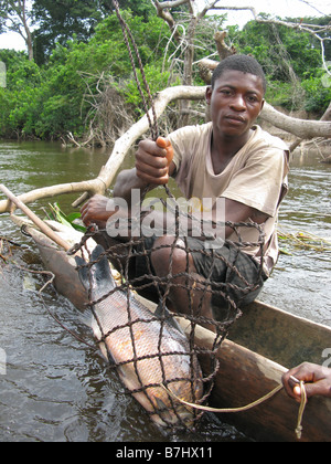 Congo River fisherman in dugout canoe with a Carp or sucking fish in spring snared fish trap Democratic Republic of Congo Stock Photo