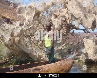 Luvua river fisherman in dugout canoe near tree covered with spiders webs Katanga province Democratic Republic of Congo Stock Photo