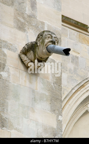 Modern gargoyle on south face of Chichester Cathedral, Chichester, West Sussex, England Stock Photo