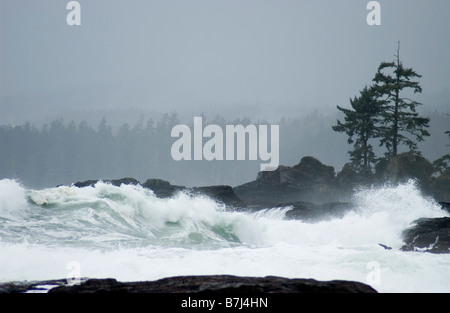 Waves crash against rocky shoreline during a winter storm, French Beach Provincial Park, Sooke, BC, Canada Stock Photo