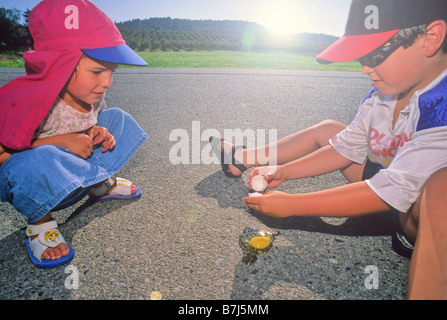 Boy, 6, and girl, 3, try to fry and egg on the sidewalk in hot summer weather, Kelowna, BC Canada Stock Photo