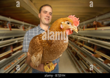 Farmer holding chicken close to camera at a chicken farm, Waterford, Ontario Stock Photo