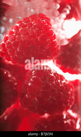 Raspberries floating in water Stock Photo
