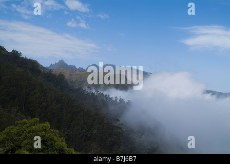 dh  PORTELA MADEIRA Mountain peaks above mist clouds Stock Photo