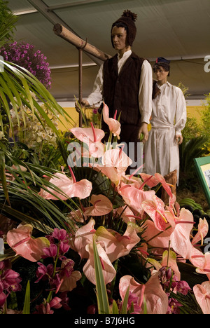 dh Flower Festival FUNCHAL MADEIRA Flower display in exhibition Marquee Stock Photo