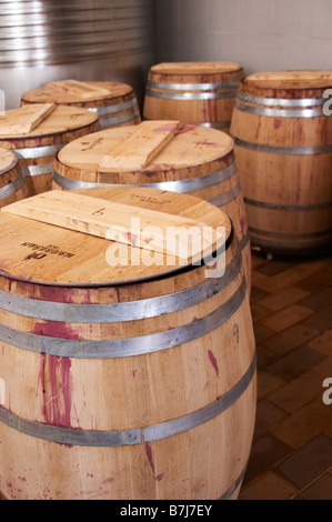 Cabernet Sauvignon fermenting in barrels. Clos de l'Obac, Costers del Siurana, Gratallops, Priorato, Catalonia, Spain. Stock Photo