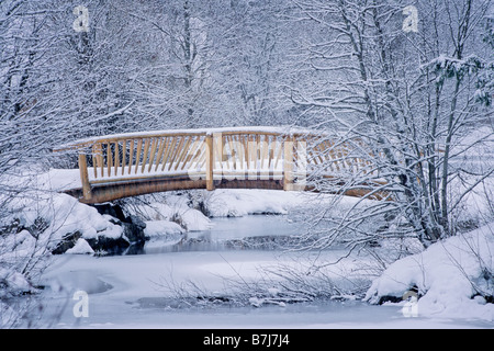 The Bridge of Sighs, at Rainbow Park, Whistler, BC in early winter Stock Photo