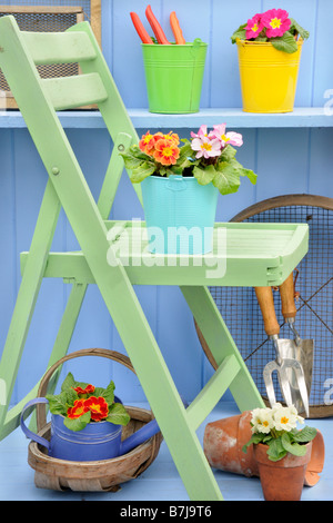 Rustic springtime garden scene with garden chair Primroses in terracotta pots and colourful buckets on blue shelf Stock Photo