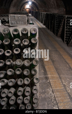 Bottles aging in the cellar. Codorniu, Sant Sadurni d'Anoia, Penedes, Catalonia, Spain Stock Photo