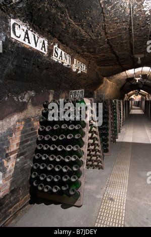 Bottles aging in the cellar. Codorniu, Sant Sadurni d'Anoia, Penedes, Catalonia, Spain Stock Photo