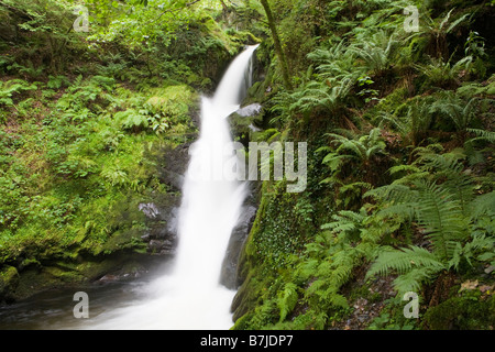 The River Dolgoch Nant Dol Goch at the Dolgoch Falls, Gwynedd, Wales Stock Photo