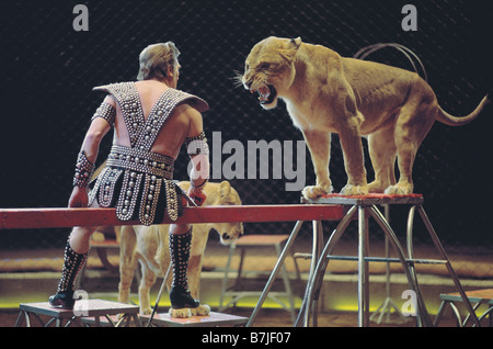 Lion (Panthera leo). Animal trainer in a circus with a snarling lioness Stock Photo