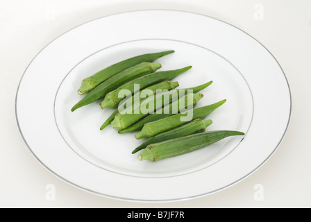 ABELMOSCHUS ESCULENTUS OKRA ON WHITE PLATE Stock Photo