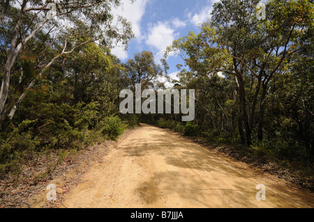 tableland road empty dirt road Road Blue Mountains New south Wales Australia Stock Photo