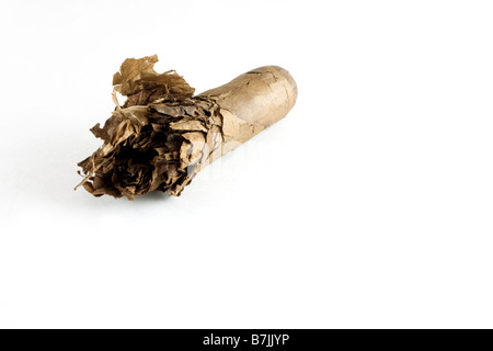 Old cigar stub Stock Photo