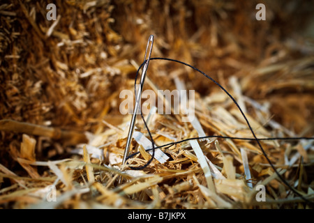 Needle with black thread in haystack Stock Photo