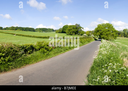 A Cotswold lane joining the villages of Lower Slaughter and Upper Slaughter, Gloucestershire Stock Photo