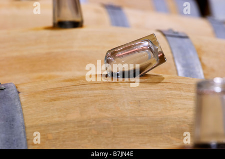 glass bung stoppers on barrels fermenting must white wine chateau fieuzal pessac leognan graves bordeaux france Stock Photo