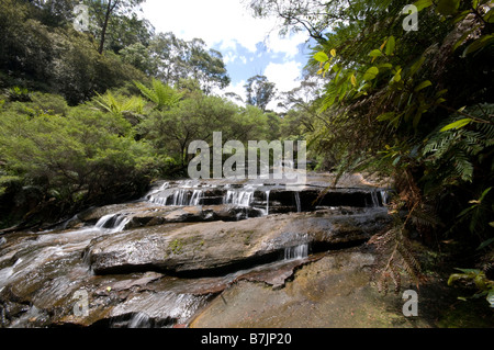 Leura falls cascades waterfall Blue Mountains New south Wales Australia Stock Photo