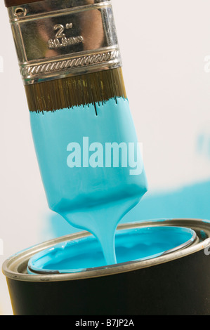 Small paint brush dipped in paint, Canada, British Columbia Stock Photo