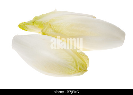 fresh endives isolated on a white background Cichorium endivia Stock Photo