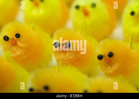 Easter chick cake decoration Stock Photo