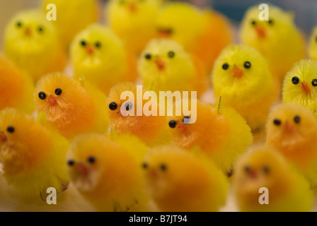 Easter chick cake decoration Stock Photo