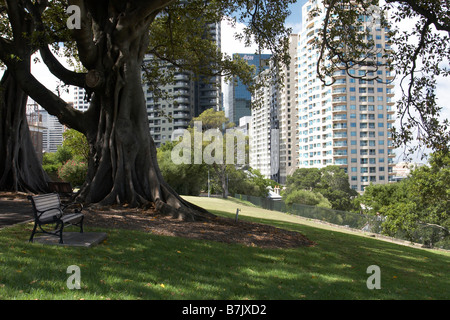 Highrises of the CBD as seen from Observatory Hill Stock Photo