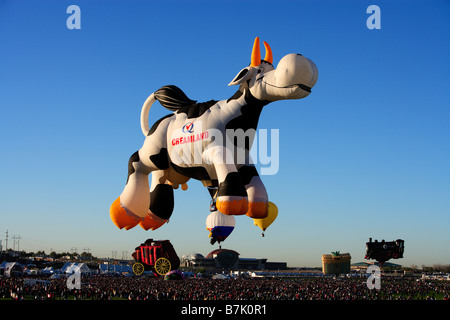 A cow shaped hot air balloon rises into the air at the 2008 Albuquerque International Balloon Fiesta on October 10, 2008. Stock Photo