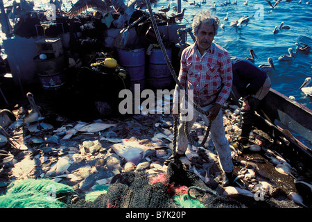 Trawl net bycatch from shrimp fishery Sea of Cortez Mexico Stock Photo