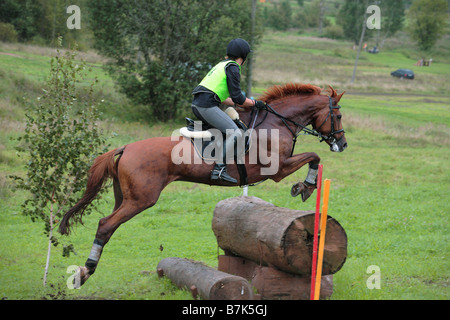 Young rider wearing a riding helmet and a body protector jumping on back of an Budenny Bred horse in a meadow Stock Photo
