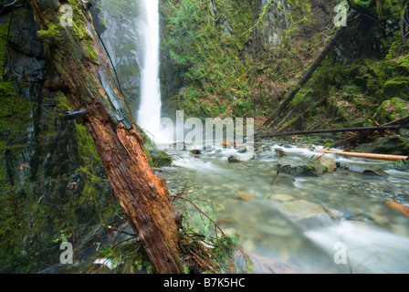 Little Niagara Falls plunges into the creek below, Goldstream Provincial Park near Victoria, BC, Canada Stock Photo