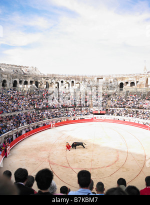 bull fight in arena Stock Photo