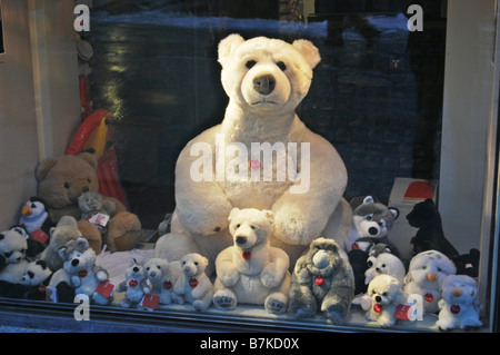 shop window display with polar bears Mayrhofen Austria Stock Photo