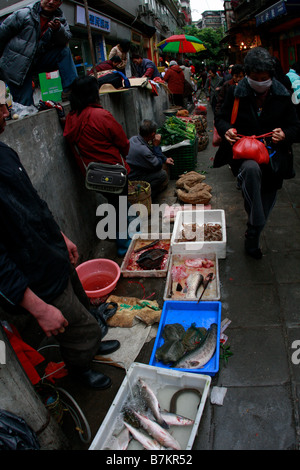 less than 10 feet away from the bloodied street around the butchered chickens unregulated seafood is sold on the corner As local Stock Photo