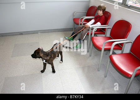 child holding puppy on leash in waiting room, veterinarian visit for vaccine Stock Photo